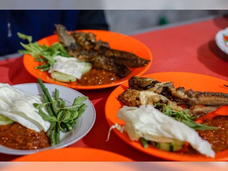 Kaya Nutrisi dan Terjangkau, Ini Manfaat Ikan Lele Bagi Kesehatan Beserta Risiko Pengolahannya