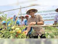 Peringatan Hari Tani, Bupati Bojonegoro Ingin Wujudkan Lumbung Pangan