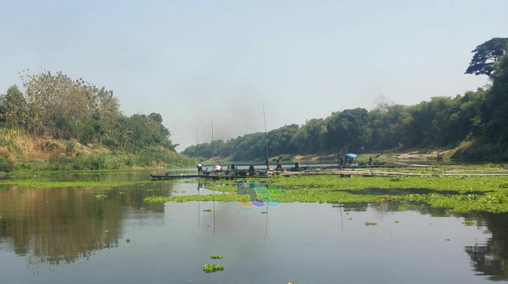 Kondisi Air Sungai Bengawan Solo Di Bojonegoro Lebihi Ambang Batas Baku ...