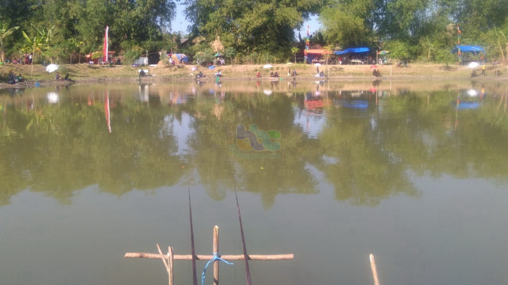 Mancing Bersama Di Embung Doyong Kecamatan Sugihwaras Bojonegoro Berlangsung Meriah Beritabojonegoro Com